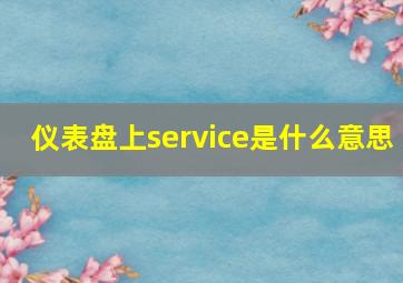 仪表盘上service是什么意思