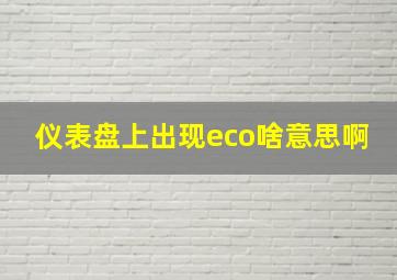 仪表盘上出现eco啥意思啊