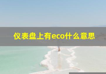 仪表盘上有eco什么意思