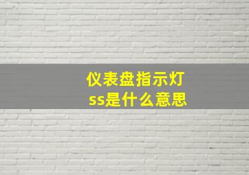 仪表盘指示灯ss是什么意思