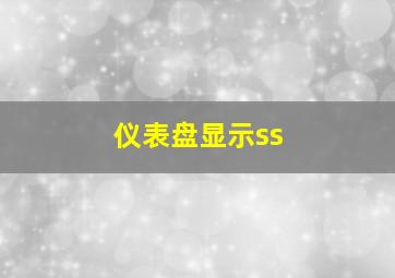 仪表盘显示ss