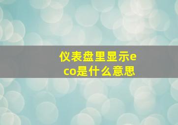 仪表盘里显示eco是什么意思