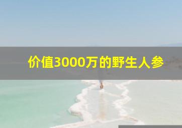 价值3000万的野生人参