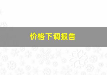 价格下调报告