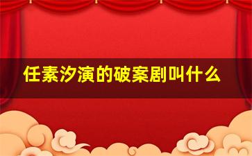 任素汐演的破案剧叫什么