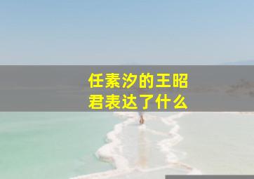 任素汐的王昭君表达了什么