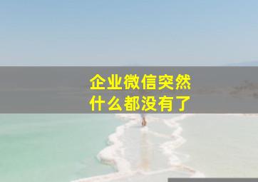 企业微信突然什么都没有了