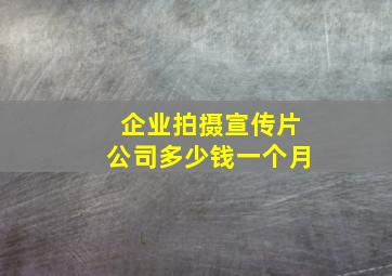 企业拍摄宣传片公司多少钱一个月