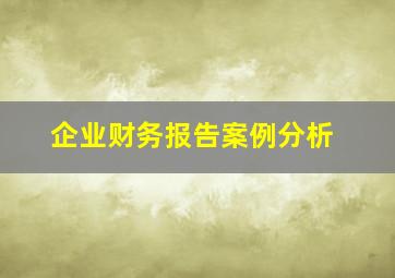 企业财务报告案例分析