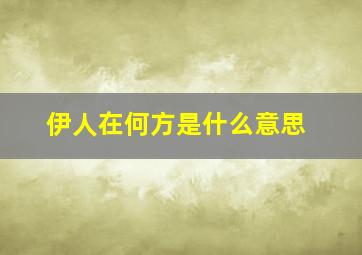 伊人在何方是什么意思