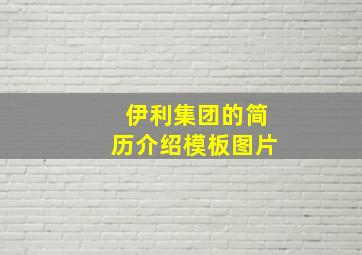 伊利集团的简历介绍模板图片