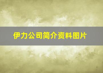 伊力公司简介资料图片