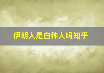 伊朗人是白种人吗知乎