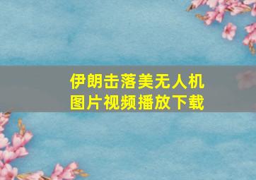 伊朗击落美无人机图片视频播放下载