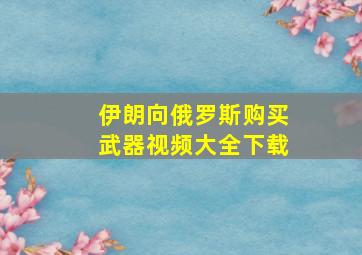 伊朗向俄罗斯购买武器视频大全下载