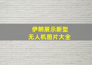 伊朗展示新型无人机图片大全