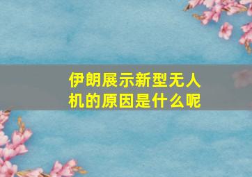 伊朗展示新型无人机的原因是什么呢