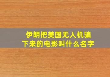 伊朗把美国无人机骗下来的电影叫什么名字