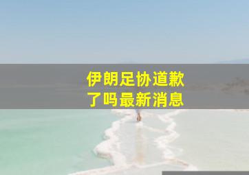 伊朗足协道歉了吗最新消息