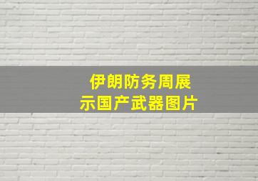 伊朗防务周展示国产武器图片