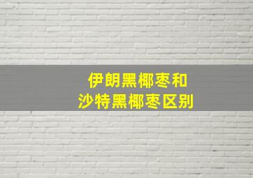 伊朗黑椰枣和沙特黑椰枣区别