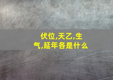 伏位,天乙,生气,延年各是什么