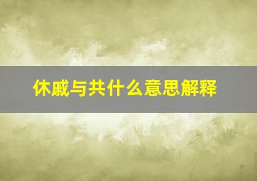 休戚与共什么意思解释