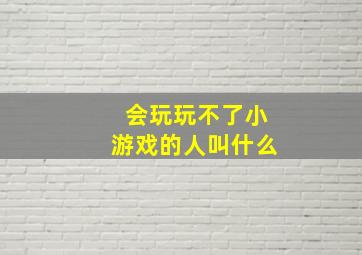 会玩玩不了小游戏的人叫什么