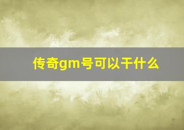 传奇gm号可以干什么