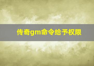 传奇gm命令给予权限