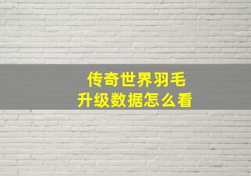 传奇世界羽毛升级数据怎么看