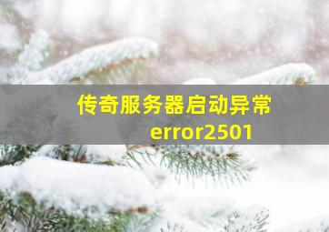 传奇服务器启动异常error2501