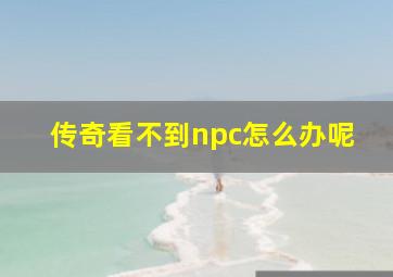 传奇看不到npc怎么办呢