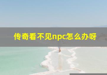 传奇看不见npc怎么办呀