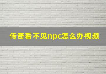 传奇看不见npc怎么办视频