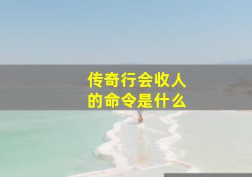 传奇行会收人的命令是什么