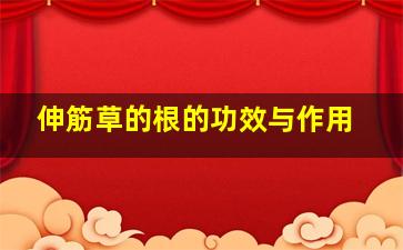 伸筋草的根的功效与作用