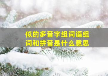 似的多音字组词语组词和拼音是什么意思