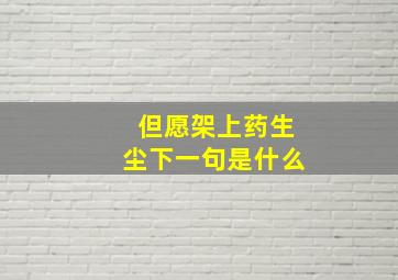 但愿架上药生尘下一句是什么