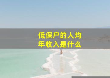 低保户的人均年收入是什么