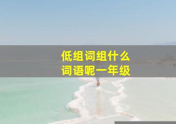 低组词组什么词语呢一年级