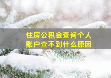 住房公积金查询个人账户查不到什么原因