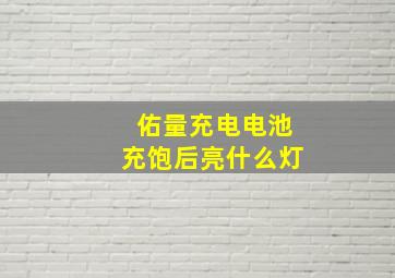 佑量充电电池充饱后亮什么灯