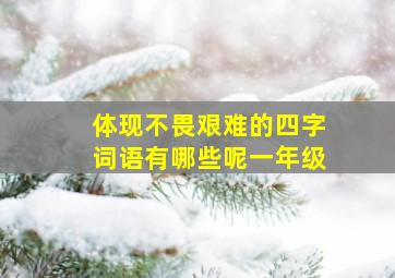 体现不畏艰难的四字词语有哪些呢一年级