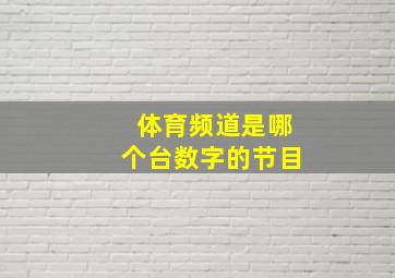 体育频道是哪个台数字的节目