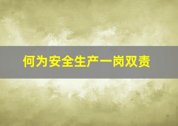 何为安全生产一岗双责