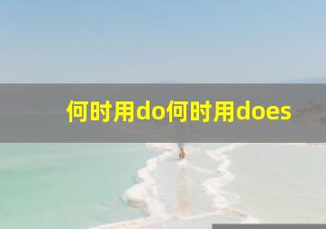 何时用do何时用does