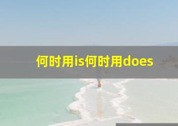 何时用is何时用does