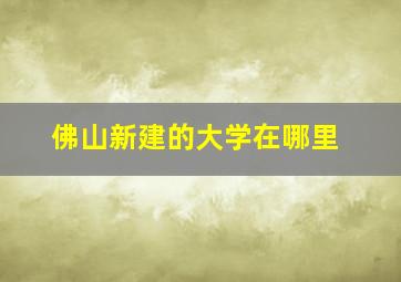 佛山新建的大学在哪里