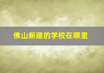 佛山新建的学校在哪里